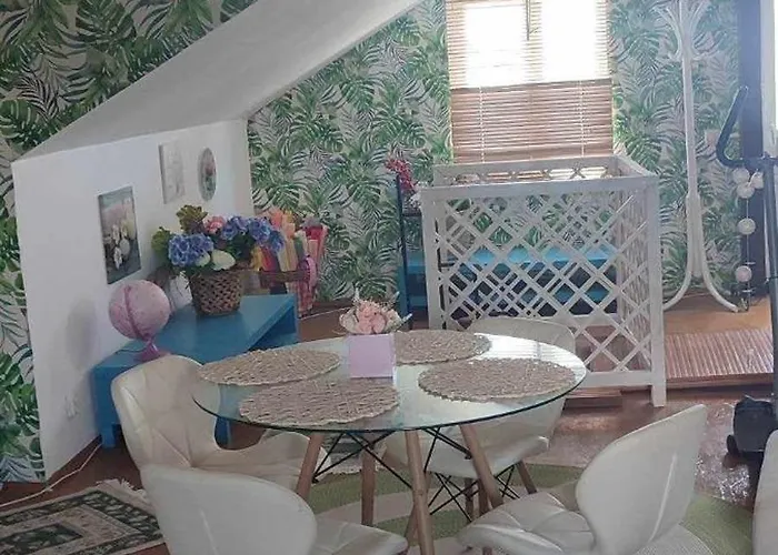 Casa de Férias Casa Silvia - Corbu (Constanta)